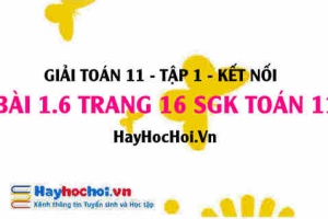 Giải bài 1.6 trang 16 Toán 11 tập 1 SGK Kết nối tri thức